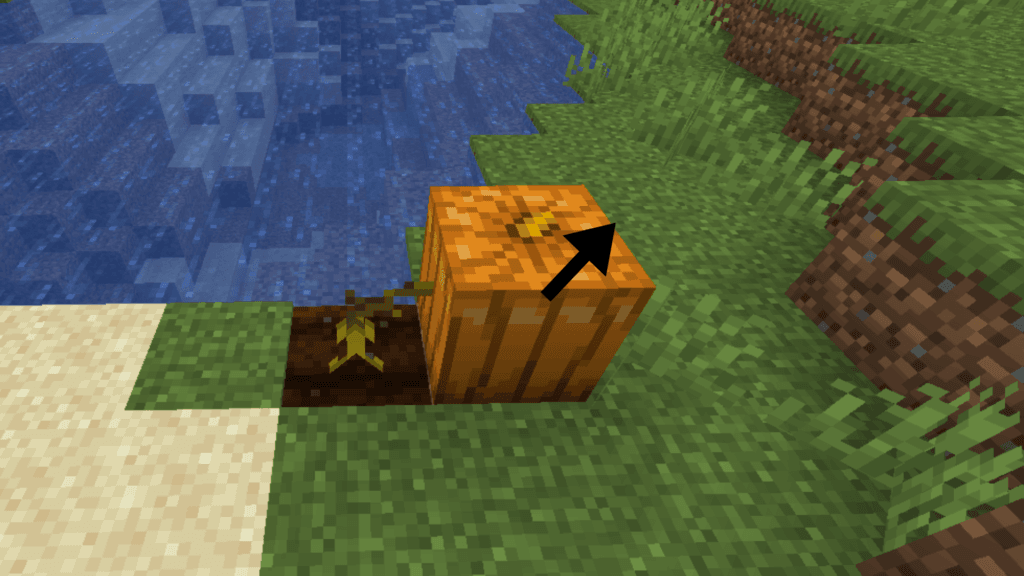 2-6-1024x576 Como achar uma vila no Minecraft fácil e rápido